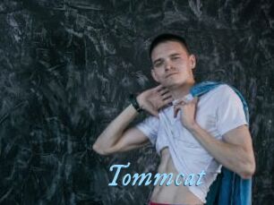 Tommcat