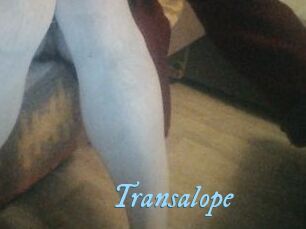 Transalope