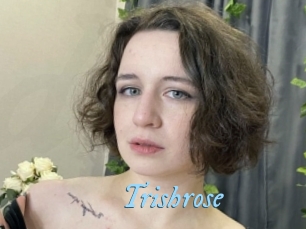 Trishrose