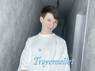 Troyemellet