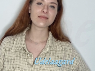Udelaagard