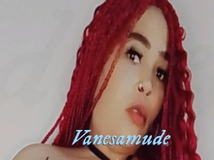 Vanesamude