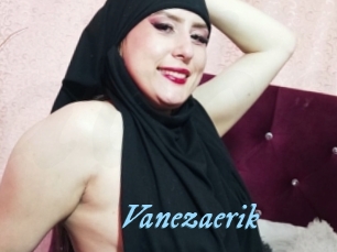 Vanezaerik