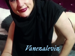 Vanezaleviz