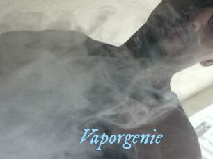 Vapor_genie