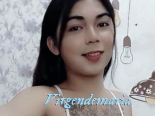 Virgendemaria