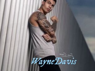 WayneDavis