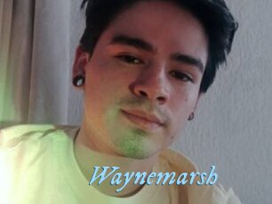 Waynemarsh