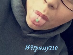 Wetpussy210