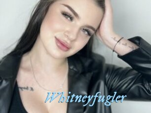 Whitneyfugler