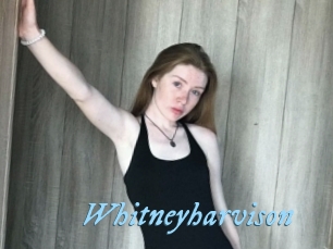 Whitneyharvison