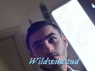 Wildwildstud