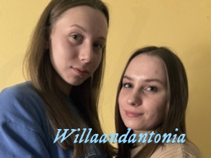 Willaandantonia