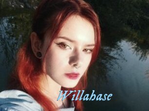 Willahase
