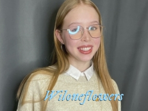 Wiloneflowers