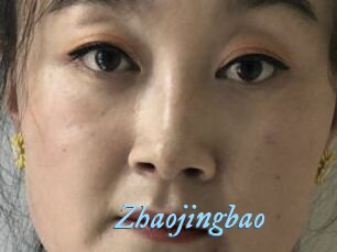 Zhaojingbao